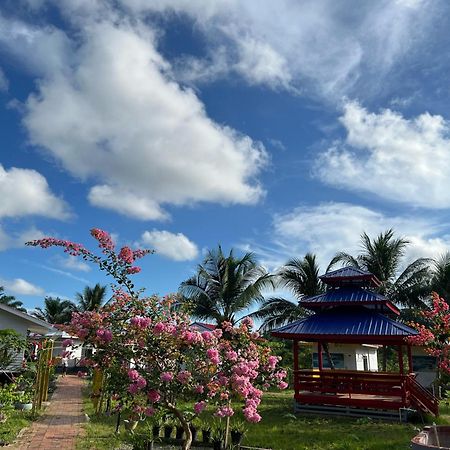 Shunde Palm Resort 仙本那顺德人家棕榈园 ภายนอก รูปภาพ