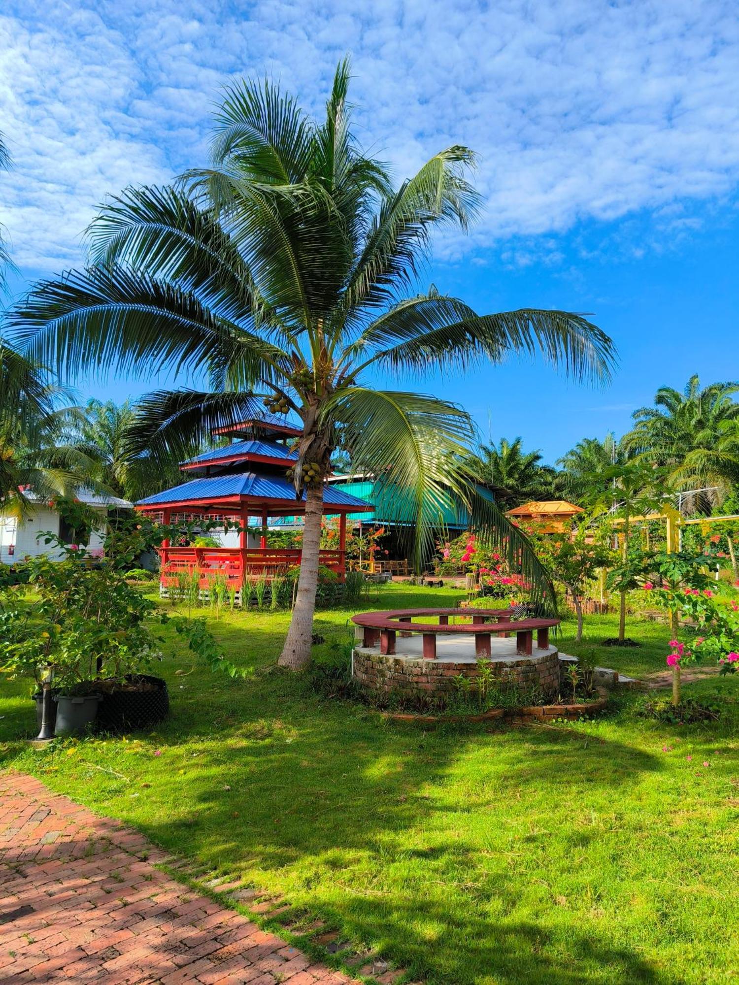 Shunde Palm Resort 仙本那顺德人家棕榈园 ภายนอก รูปภาพ