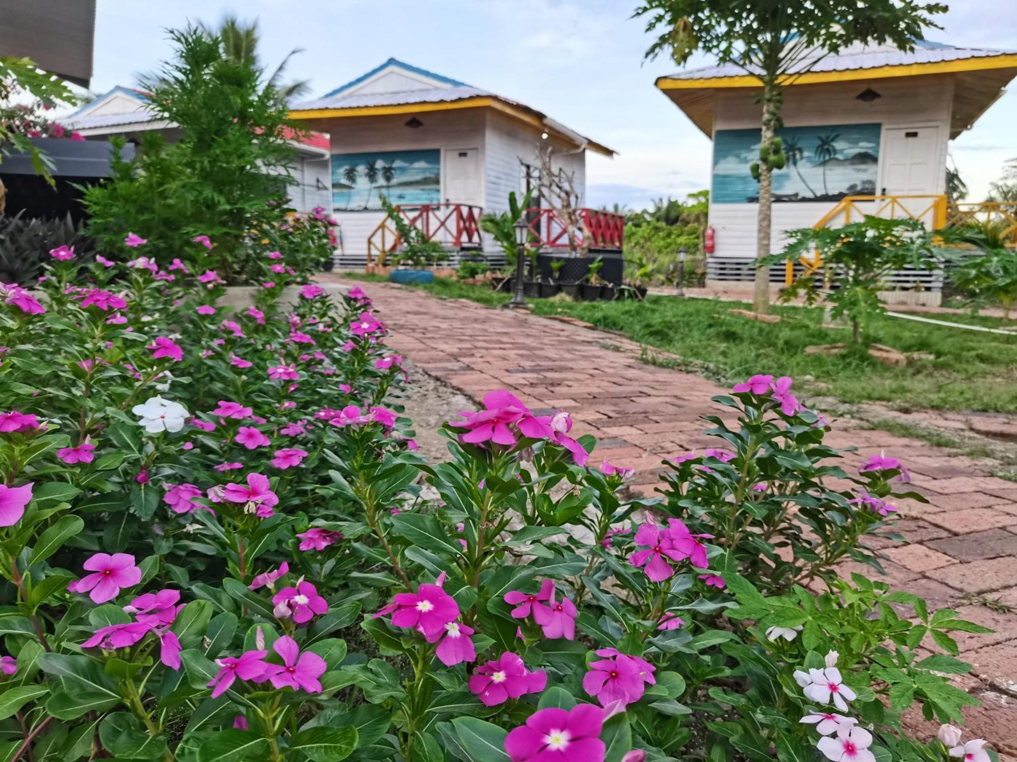 Shunde Palm Resort 仙本那顺德人家棕榈园 ภายนอก รูปภาพ